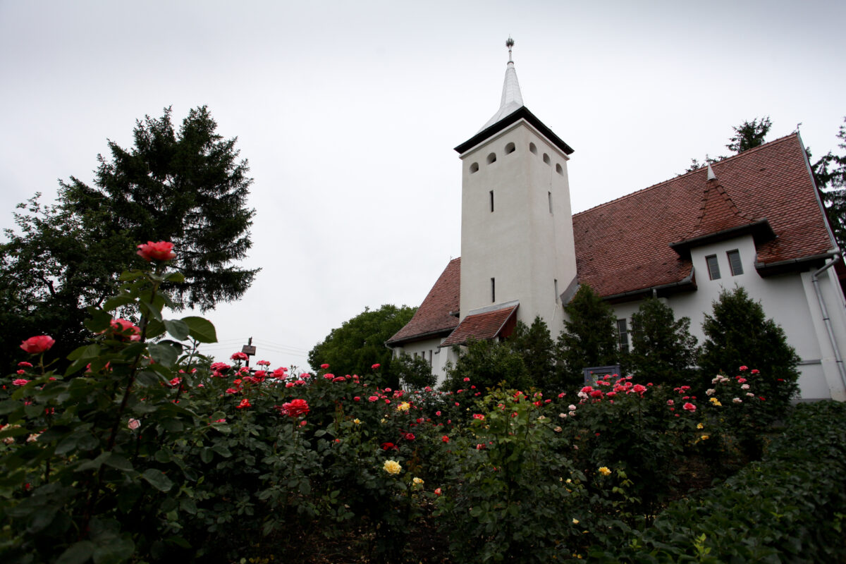 The reformed church